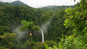 Tour al Bosque Nuboso de Costa Rica y Volcán Arenal 